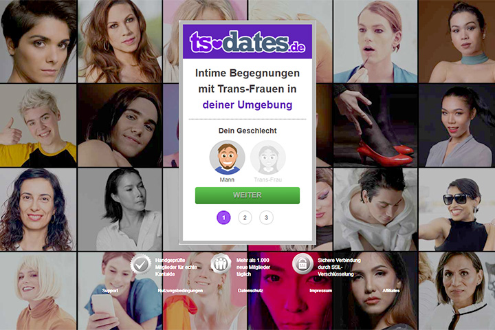 Screenshot der Seite TS-Dates.de